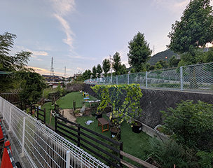 ドッグプレイグラウンド