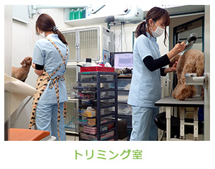 トリミング室