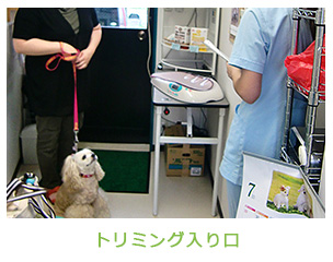 トリミング入り口