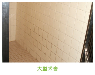 大型犬舎