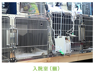 入院室（猫）